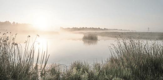 Cloud Backup for the EONs: Summer of Shipping & the Live Data Lake